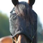 Halter Fly Mask Combi Horsegear Black