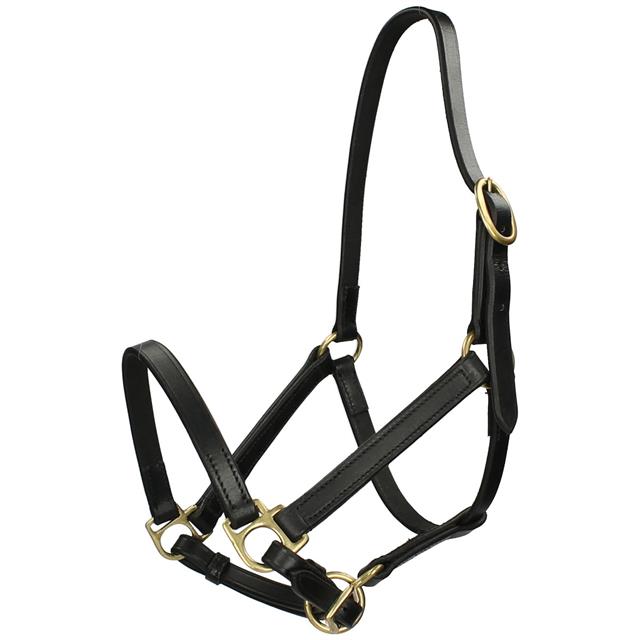 Halter Foal Epplejeck Standard Black