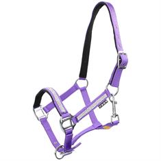 Halter Foal Epplejeck Strass Purple