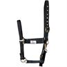 Halter Harry's Horse Adjustable Black