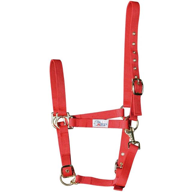 Halter Harry's Horse Adjustable Red