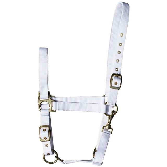 Halter Harry's Horse Adjustable White