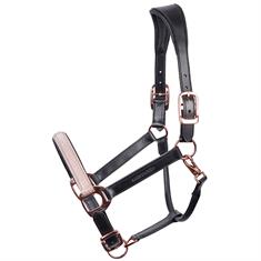 Halter Harry's Horse Broadway Black