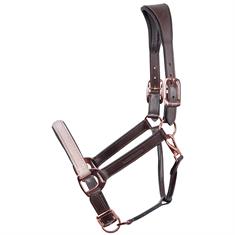 Halter Harry's Horse Broadway Brown