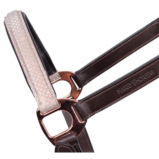 Halter Harry's Horse Broadway Brown