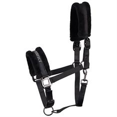 Halter Harry's Horse Lyrics Black Black