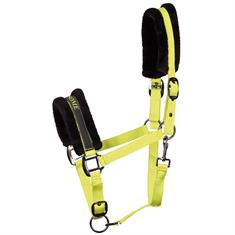 Halter Harry's Horse Lyrics Black Green