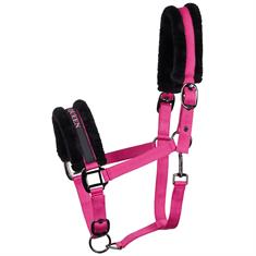 Halter Harry's Horse Lyrics Black Pink