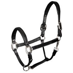 Halter Harry's Horse Padded Leather Black