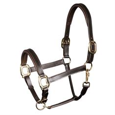 Halter Harry's Horse Padded Leather Brown
