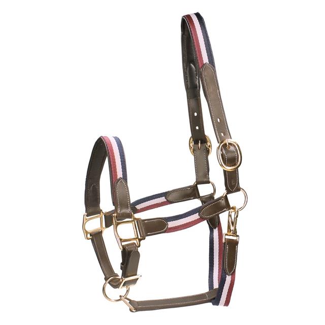 Halter Horsegear Finn Dark Blue-Dark Red