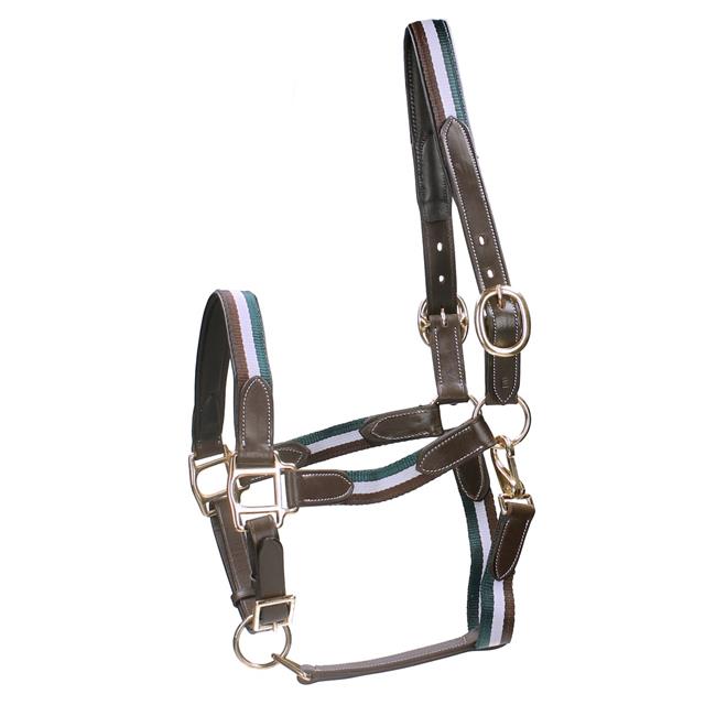 Halter Horsegear Finn Dark Brown-Green