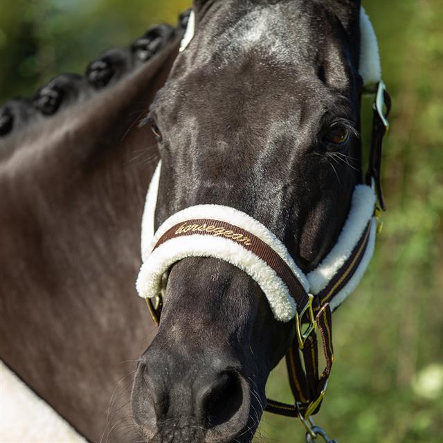Halter Horsegear Lyx Dark Brown