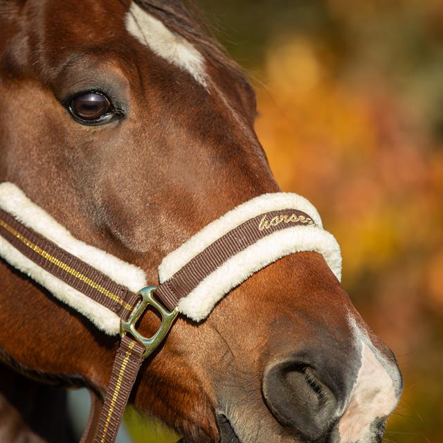 Halter Horsegear Lyx Dark Brown