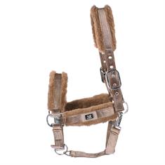 Halter Horsegear Velvet Gold