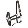 Halter Horsegear Zari Black-Gold