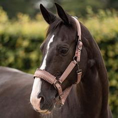 Halter Imperial Riding IRHLovely Light Brown