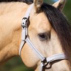 Halter Imperial Riding IRHSparkle Off White