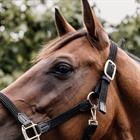 Halter Kentucky Braided Black