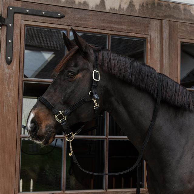 Halter Kentucky Braided Black