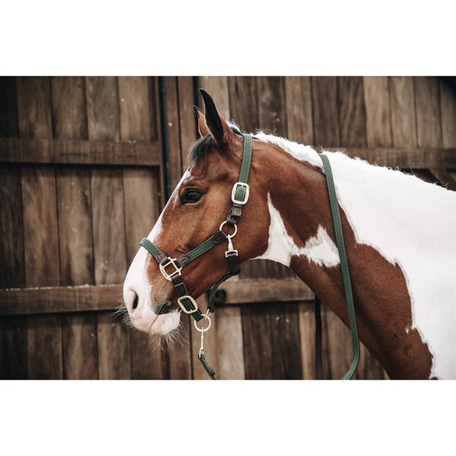 Halter Kentucky Braided Dark Green