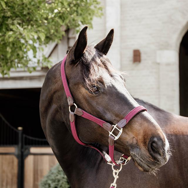 Halter Kentucky Braided Dark Red