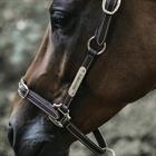 Halter Kentucky Flexibele Brown