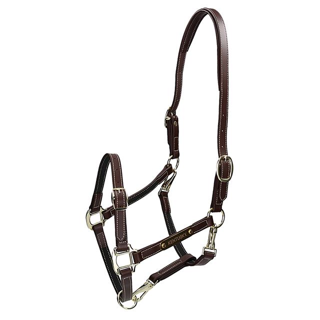 Halter Kentucky Flexibele Brown