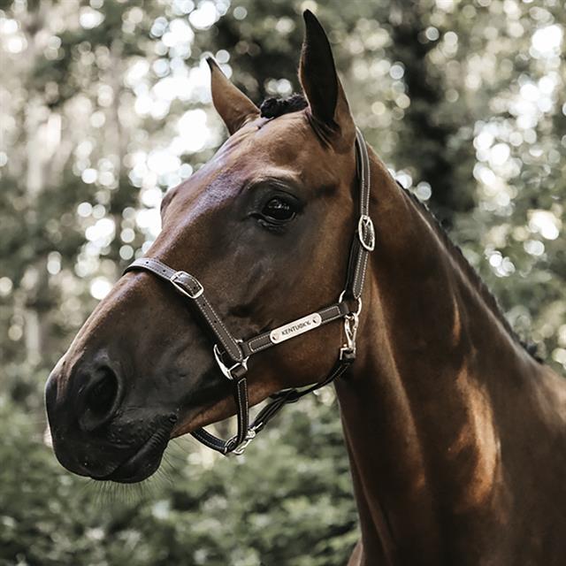 Halter Kentucky Flexibele Brown