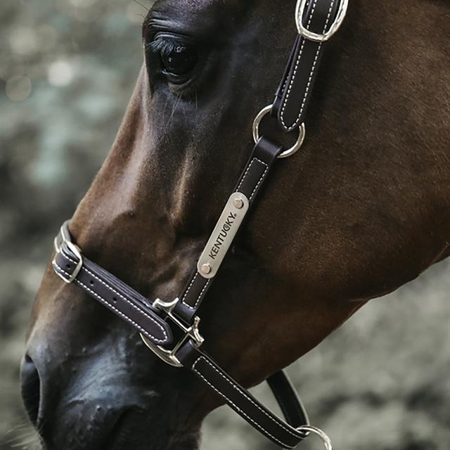 Halter Kentucky Flexibele Brown