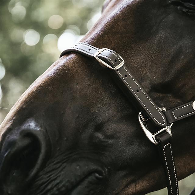 Halter Kentucky Flexibele Brown