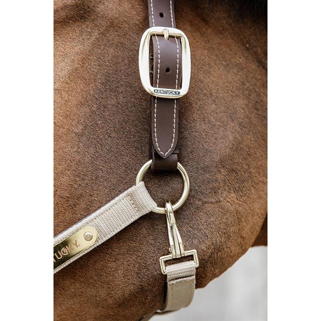 Halter Kentucky Nylon Anatomic Light Brown