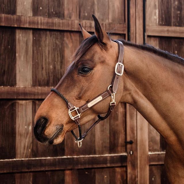Halter Kentucky Rope Brown