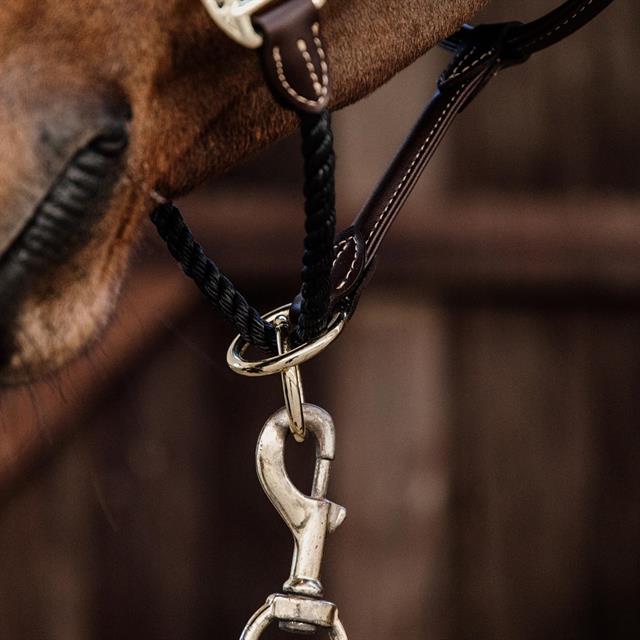 Halter Kentucky Rope Brown