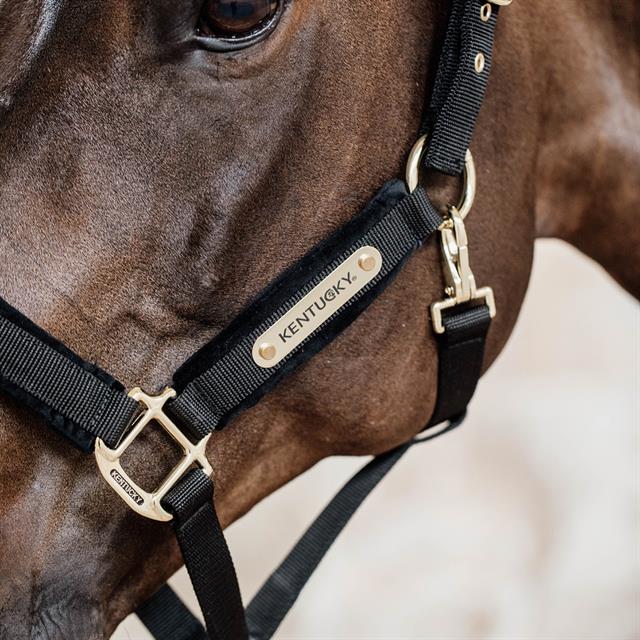 Halter Kentucky Velvet Black