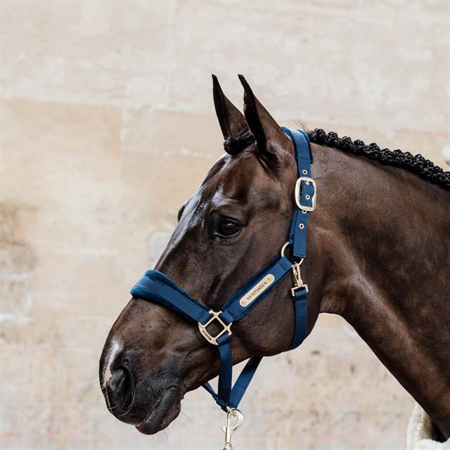 Halter Kentucky Velvet Dark Blue