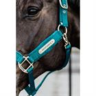 Halter Kentucky Velvet Dark Green