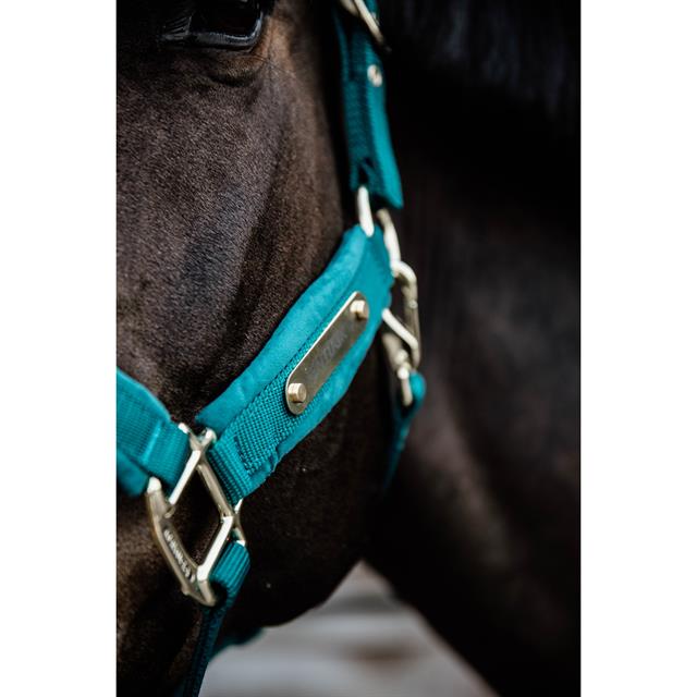 Halter Kentucky Velvet Dark Green