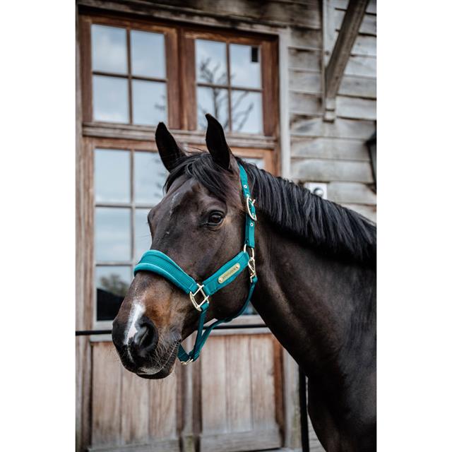 Halter Kentucky Velvet Dark Green