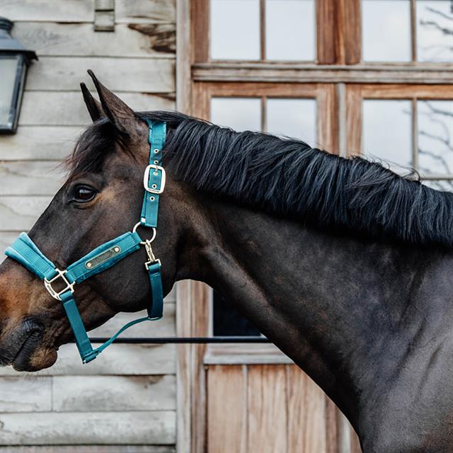 Halter Kentucky Velvet Dark Green