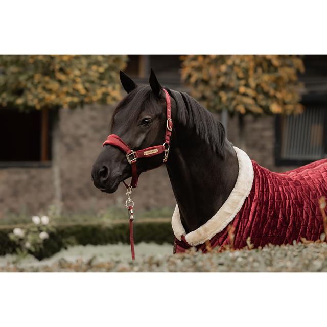 Halter Kentucky Velvet Dark Red