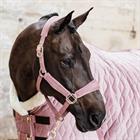 Halter Kentucky Velvet Pink