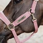 Halter Kentucky Velvet Pink