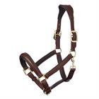 Halter LeMieux Anatomic Brown