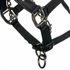 Halter LeMieux Pro-Safe Black