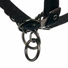 Halter LeMieux Pro-Safe Black