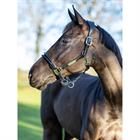 Halter LeMieux Rope Control Black