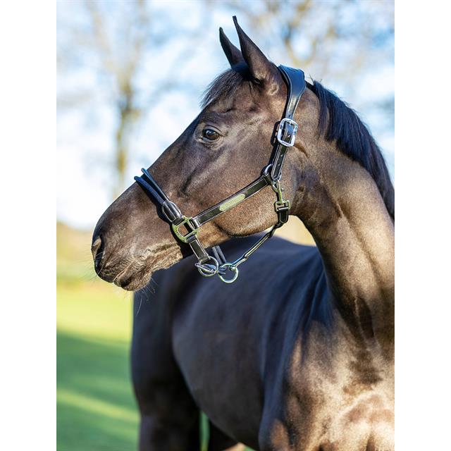 Halter LeMieux Rope Control Black