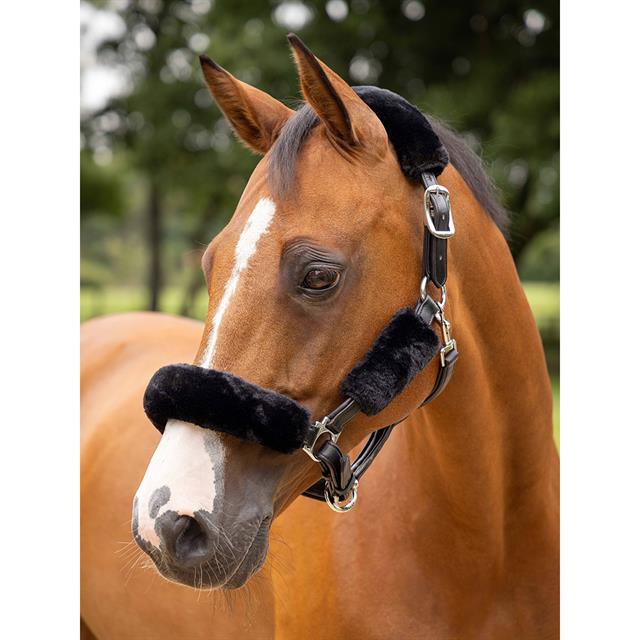 Halter LeMieux Simuwool Black