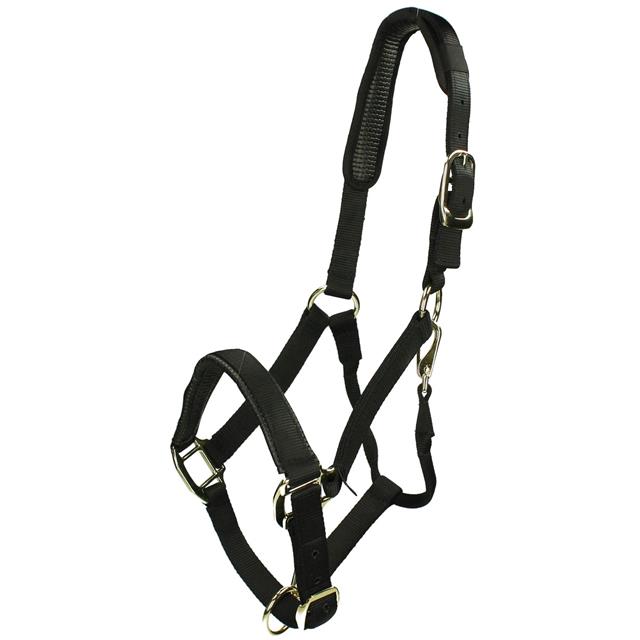 HALTER NYLON TOPAZ Black